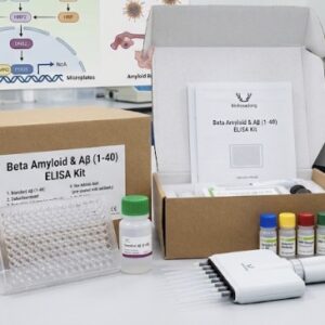 Beta-Amyloid 7E7 Antibody & BA(1-40) Kit | High Purity Peptides